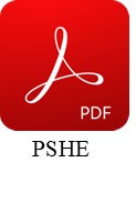 pshe icon